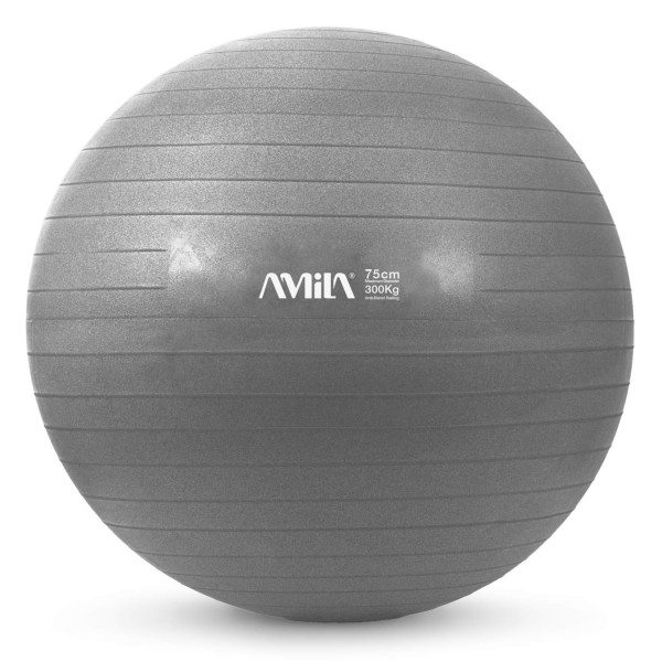 Amila Gym Ball - 75cm (Grey)