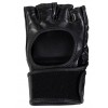 Evergy Gloves for MMA