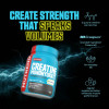 Nutrend Creatine Monohydrate Creapure (500g)