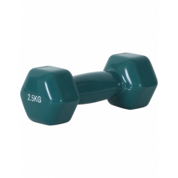 Amila Dumbbell - Βαράκι Vinyl (2.5kg)